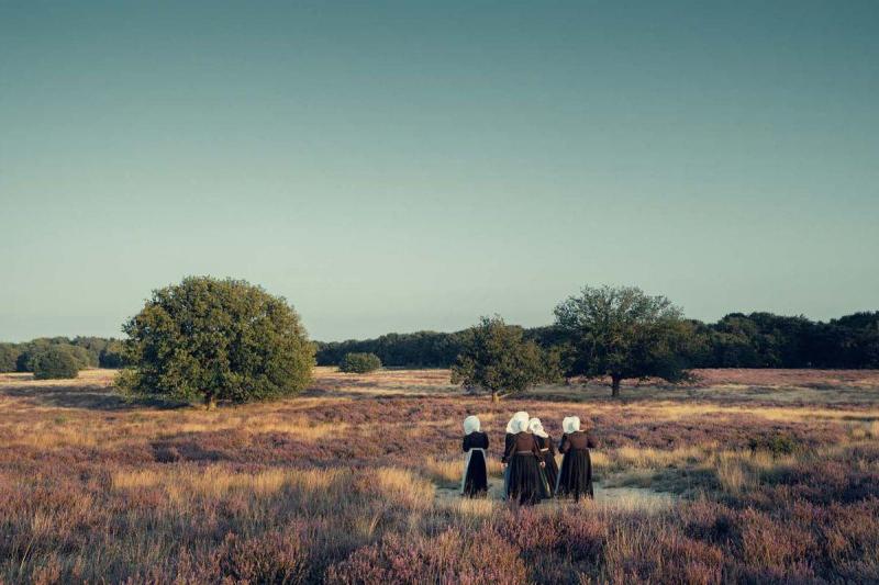 Jimmy Nelson NL HUI D14