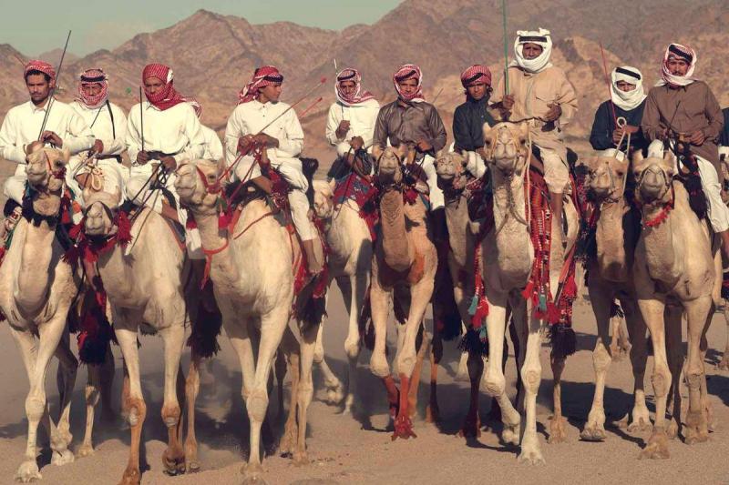 Jimmy Nelson SAU TAB BED D04