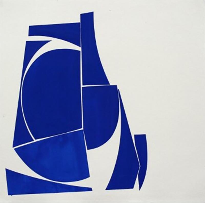 Joanne Freeman Covers 24 Blue D Summer