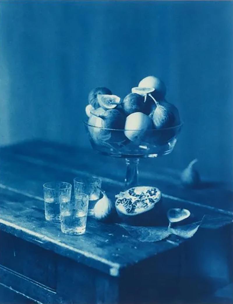 John Dugdale Framed Editioned Cyanotype Photography by John Dugdale