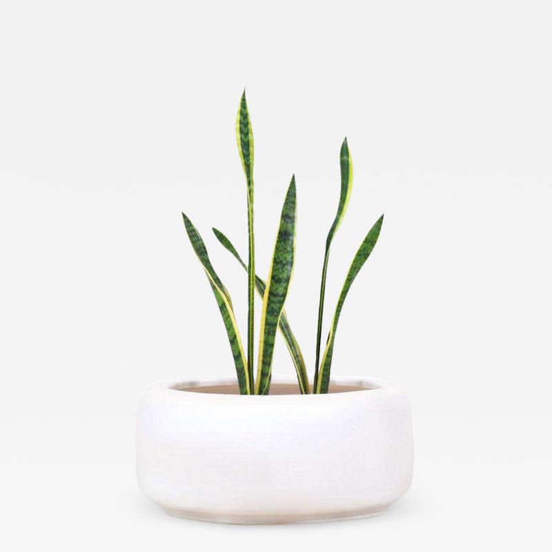 John Follis Large John Follis Tire White Glaze Planter for Architectural Pottery