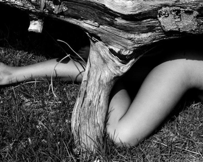 John Swannell Nude Beneath Tree