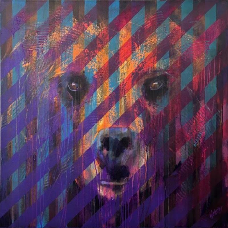 John Webster Mountain Bear