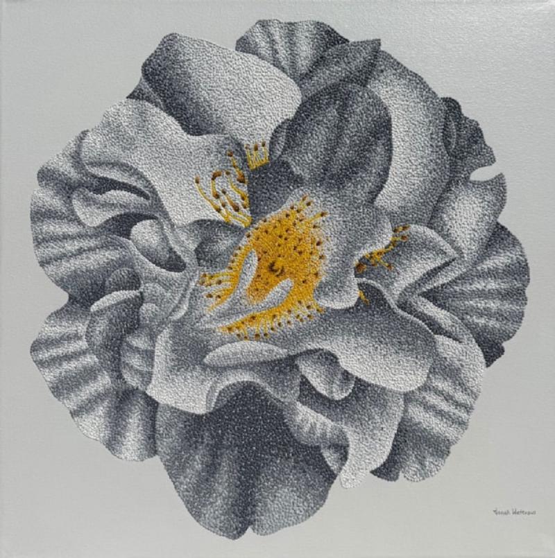 Jonah Waterous Camellia
