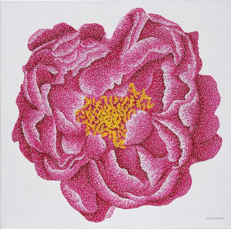 Jonah Waterous Pink Camellia 0147