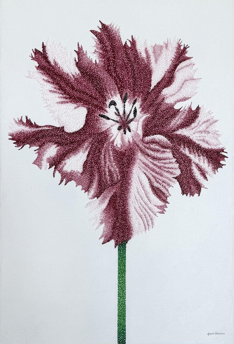 Jonah Waterous Tulip