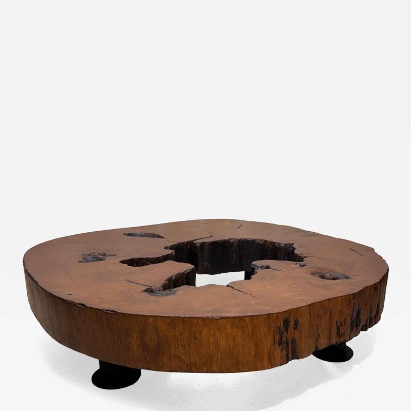 Jos Zanine Caldas Solid Tree Trunk Coffee Table Made of a Thick Cross Section of Vinhatico Wood