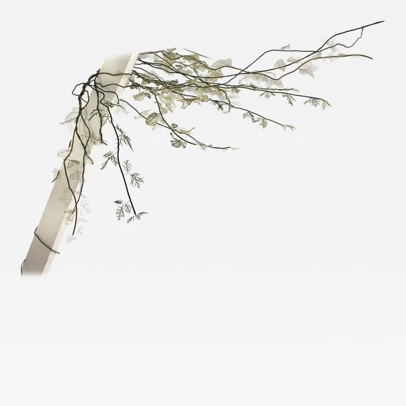Julie Percillier Lianes