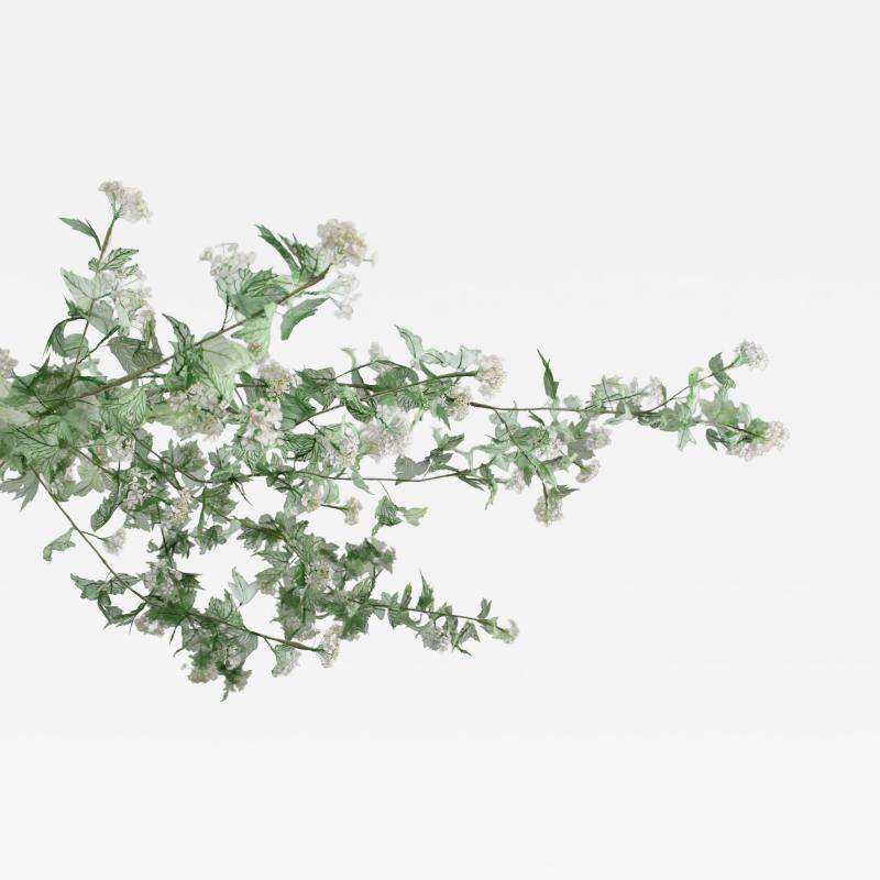 Julie Percillier Roseum M lodie Des Feuillages