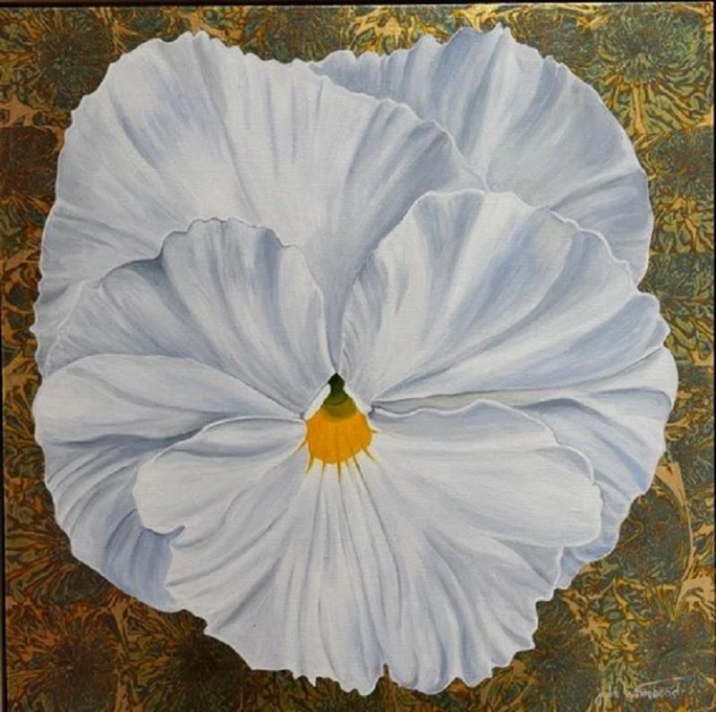Julie Whitehead White Pansy