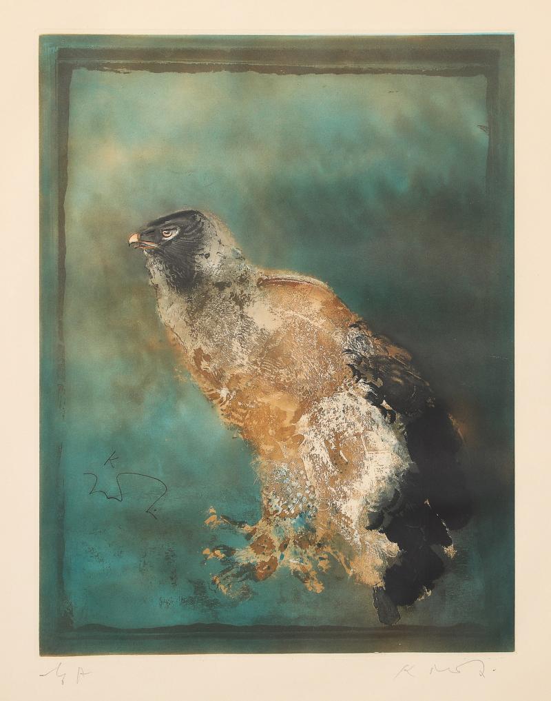 KAIKO MOTI Kaiko MOTI LAiglon Aqua Tinted Color Etching Signed in Graphite