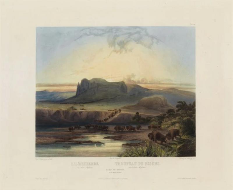 Karl Charles Bodmer KARL BODMER 1809 1893 HERDS OF BISON