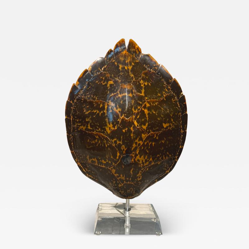 Karl Springer 1970s Karl Springer Tortoise Shell Lamp