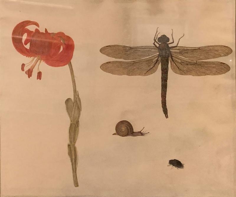 Karl Wilhelm de Hamilton Still Life Dragonfly and Primrose