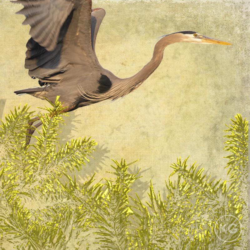 Kate Griswold Great Blue Heron Iridescent Series 