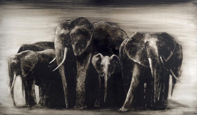 Kathy Hoets Herd of Elephants