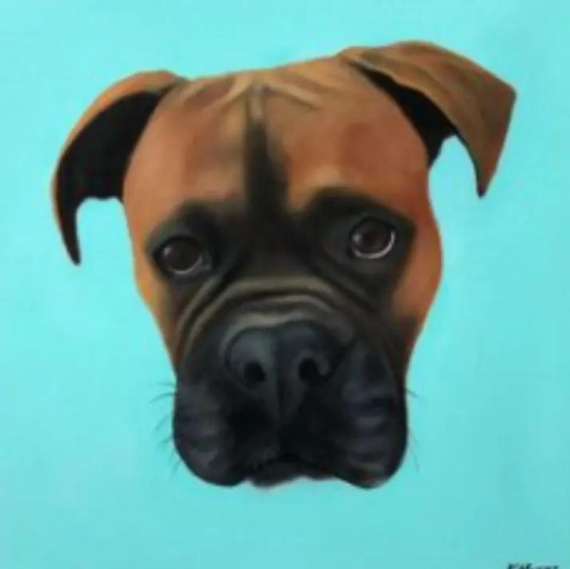 Kathy Hoets Kathy Hoets Pet Projects Aqua Blue Boxer
