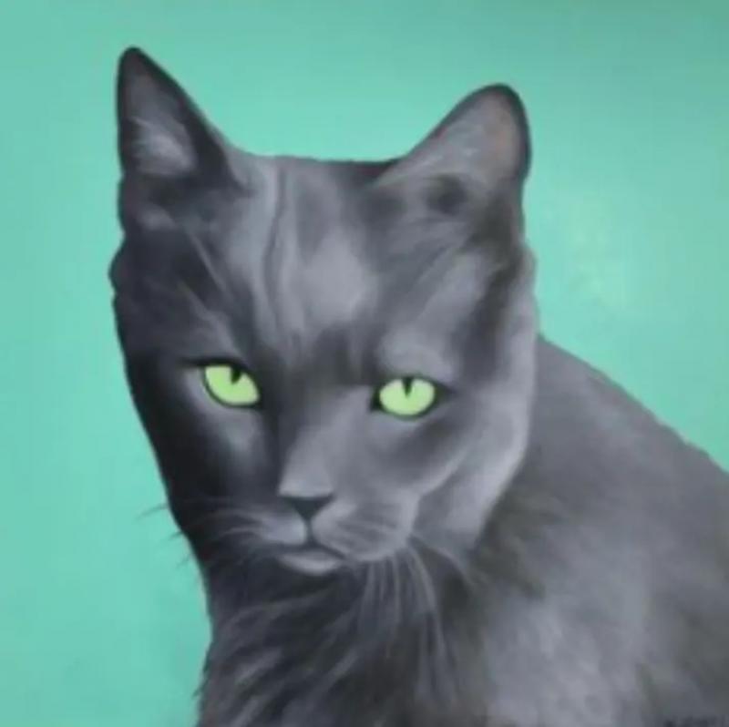 Kathy Hoets Kathy Hoets Pet Projects Green Eye Cat