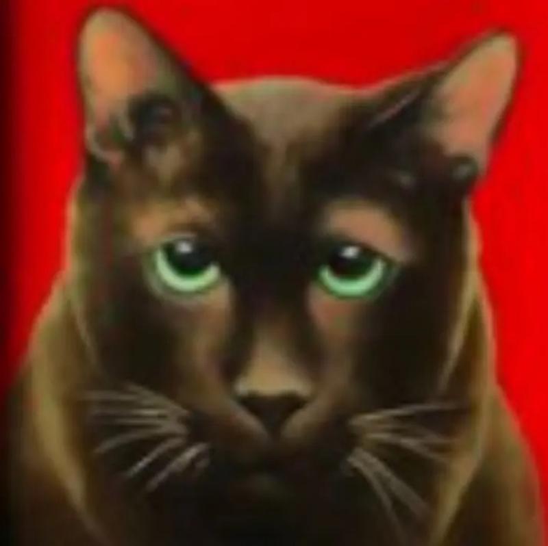 Kathy Hoets Pet Projects