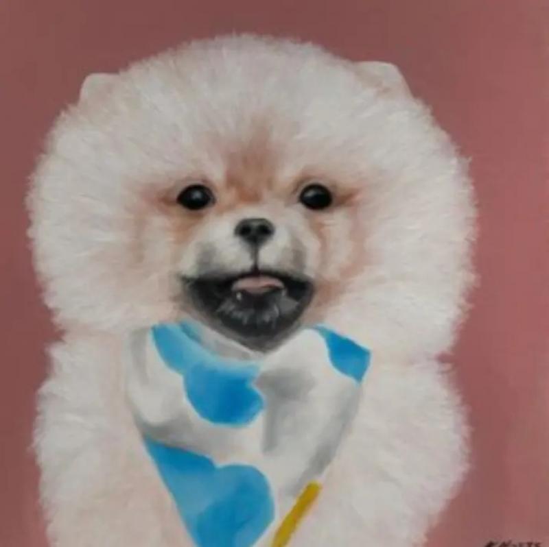 Kathy Hoets Pet Projects