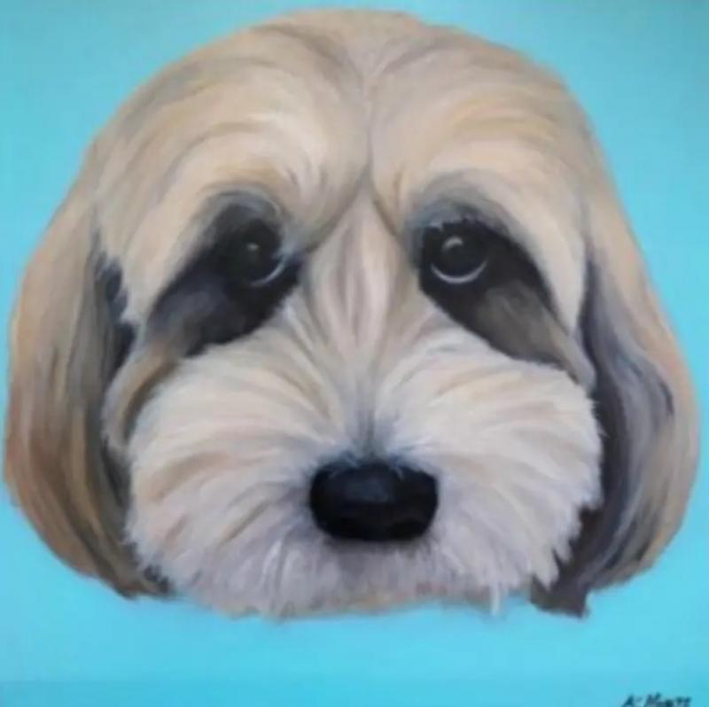 Kathy Hoets Pet Projects