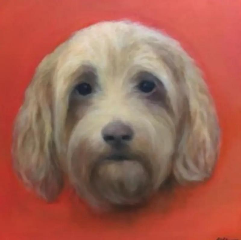 Kathy Hoets Pet Projects