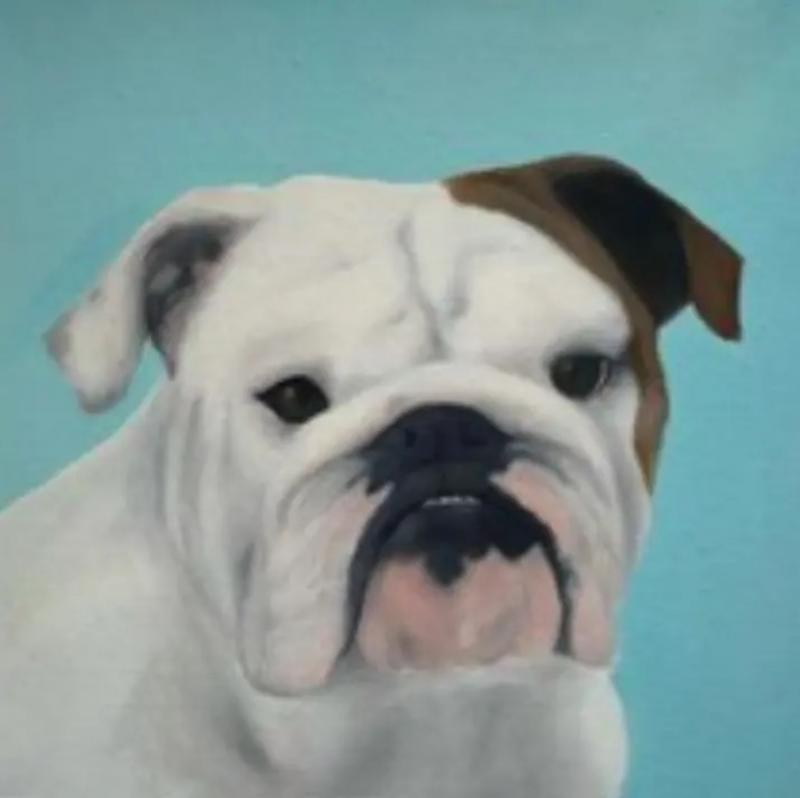 Kathy Hoets Pet Projects