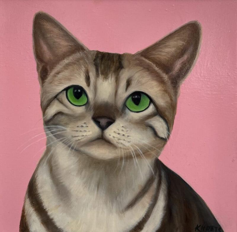 Kathy Hoets Pet Projects