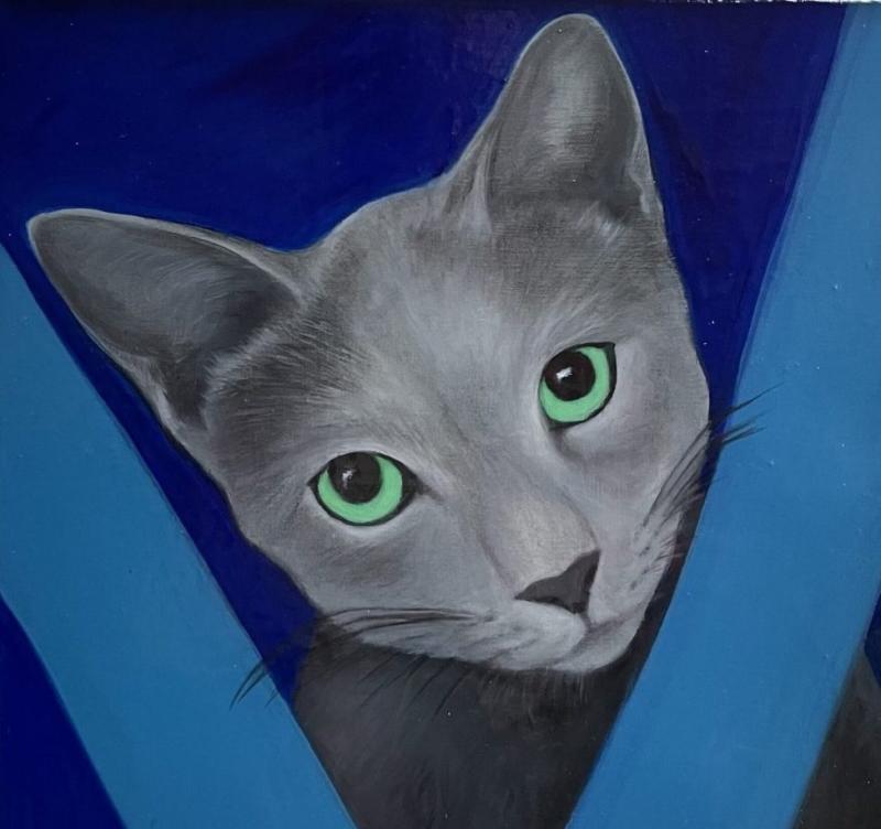 Kathy Hoets Pet Projects