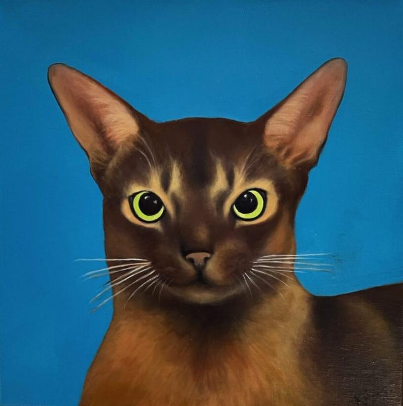 Kathy Hoets Pet Projects