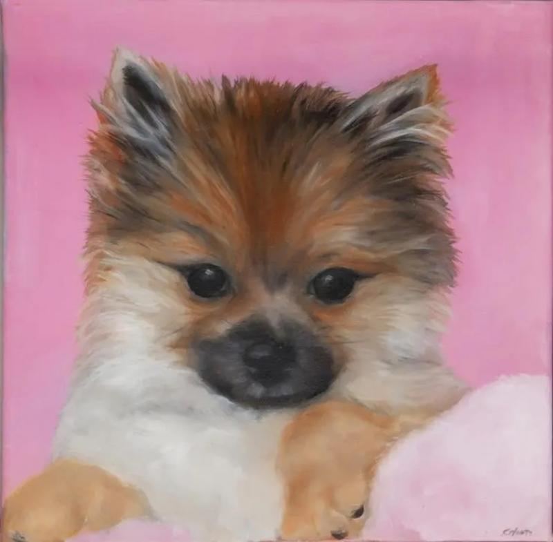 Kathy Hoets Pet Projects Pink Pomeranian