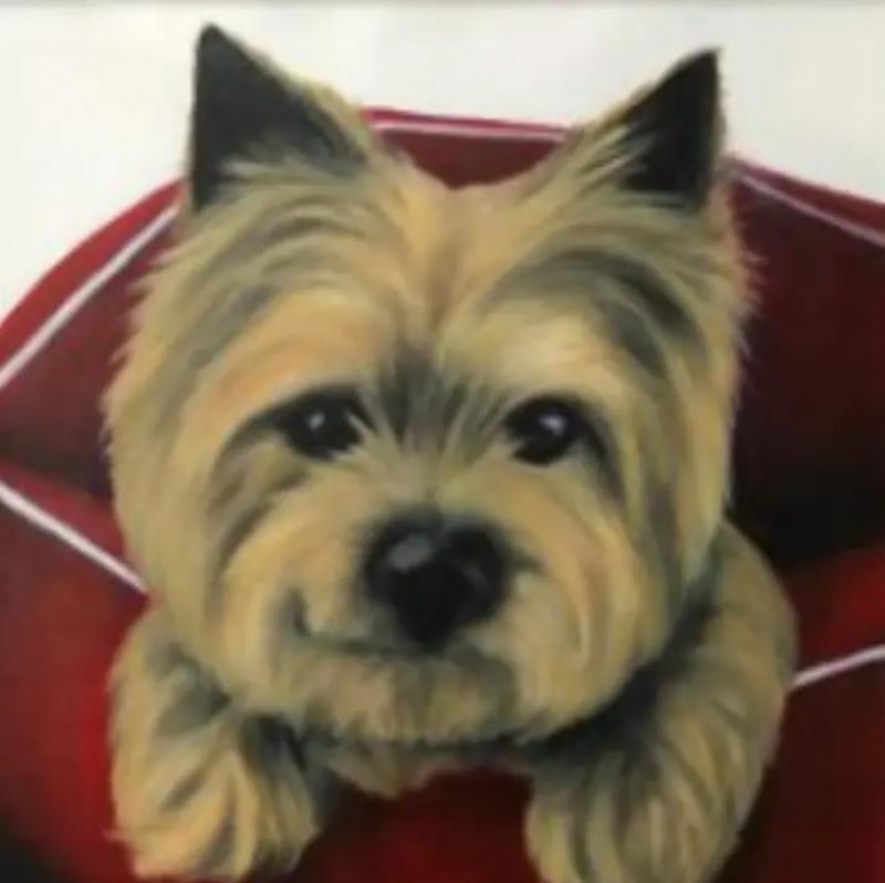 Kathy Hoets Pet Projects Pop Up Terrier
