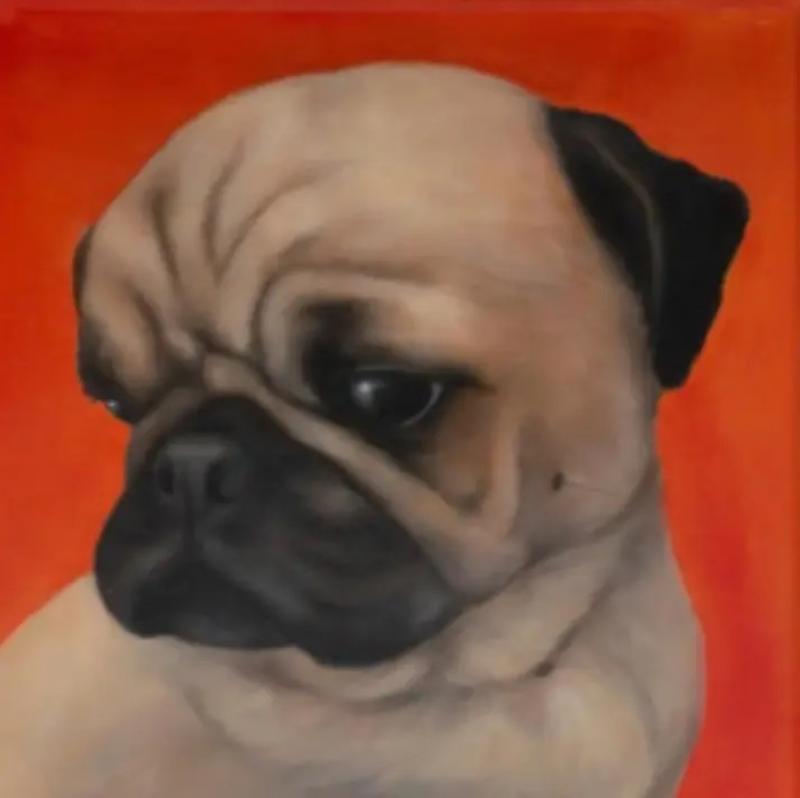Kathy Hoets Pet Projects Yam Pug