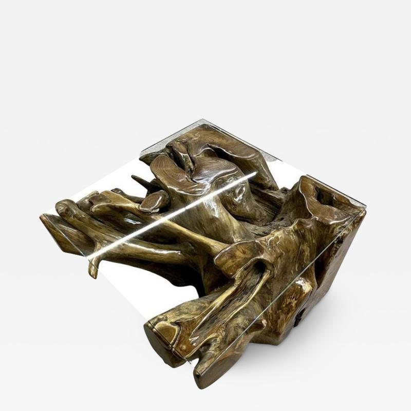 Laquered Teak Root Coffee Side Table With Safety Glass Plate Indonesia 2022