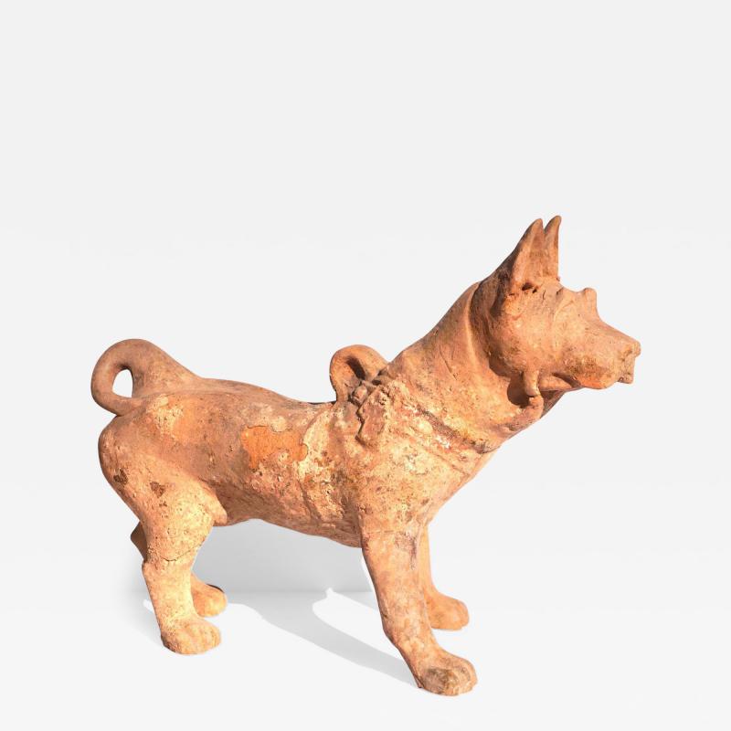 Large Han Dynasty Pottery Sculpture of a Dog