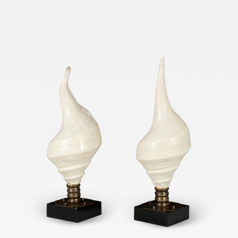 Large Vintage Conch Shell Lamps