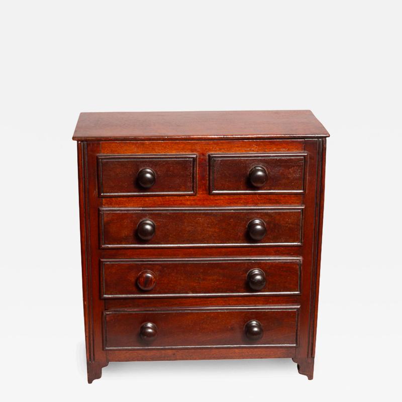 Late Georgian Mahogany Box in the Form of a Chest