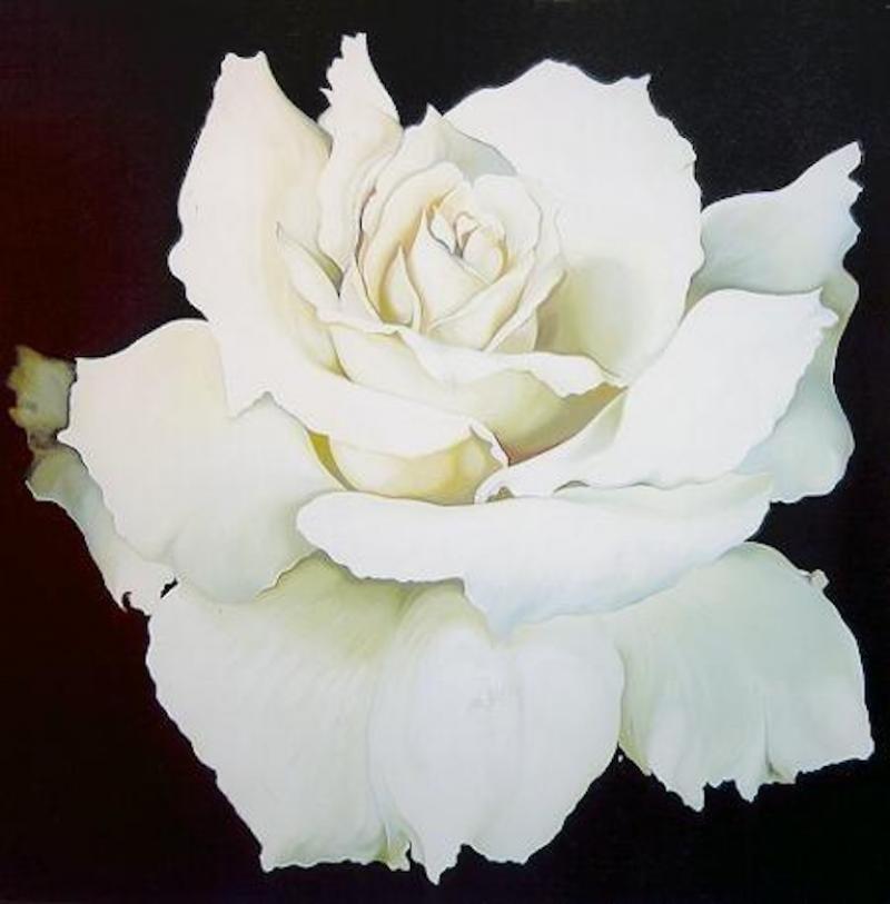 Lowell Blair Nesbitt White Rose
