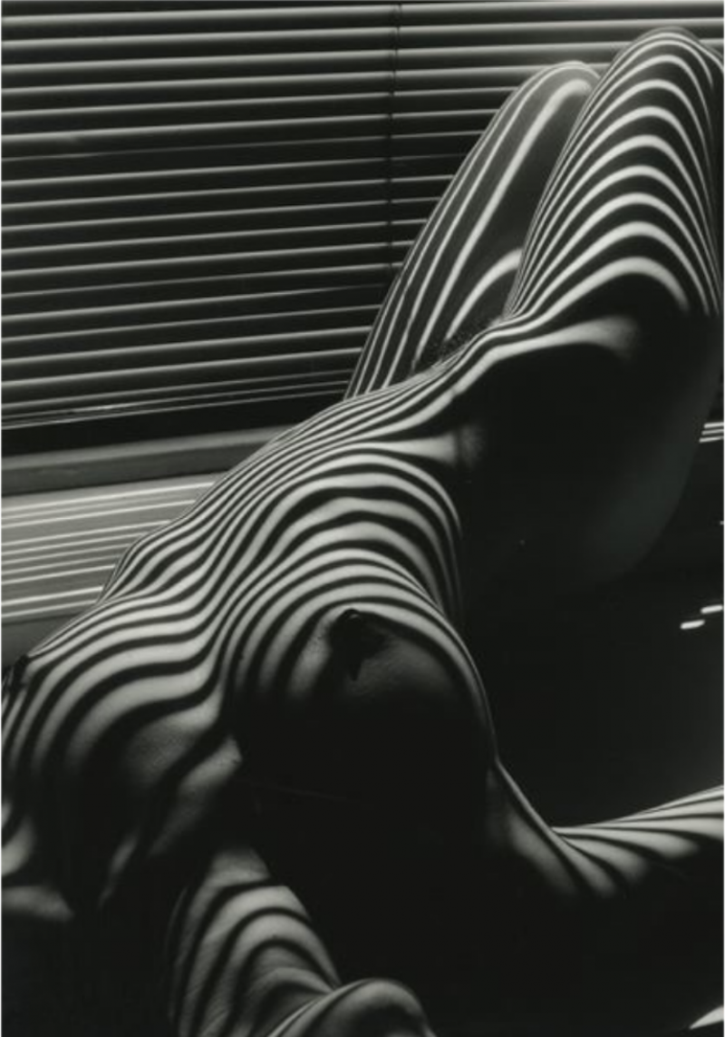 Lucien Clergue Nu Zebre 1997