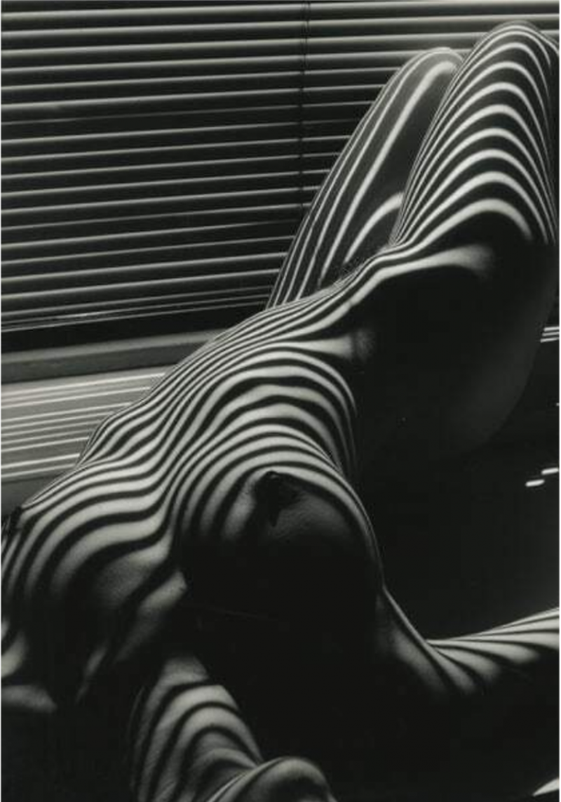 Lucien Clergue Nu Zebre New York 1997