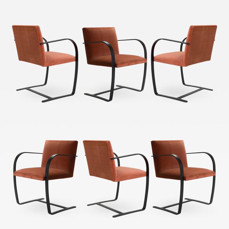 Ludwig Mies Van Der Rohe Brno Flat Bar Chairs in Rust Velvet Obsidian Matte Frame Set of 6