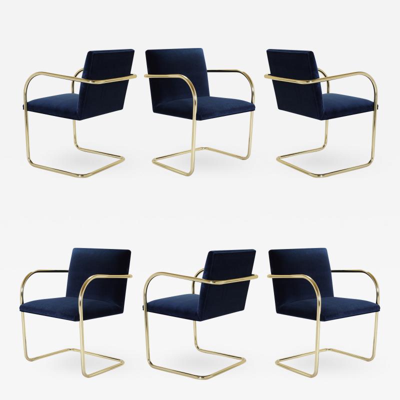 Ludwig Mies Van Der Rohe Brno Tubular Chair in Navy Velvet Polished Brass Set of 6