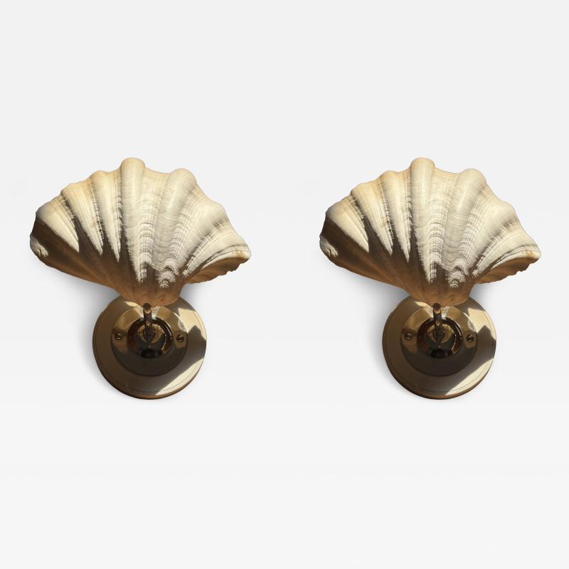 MODERN PAIR OF LARGE CLAM SHELL WALL SCONCES