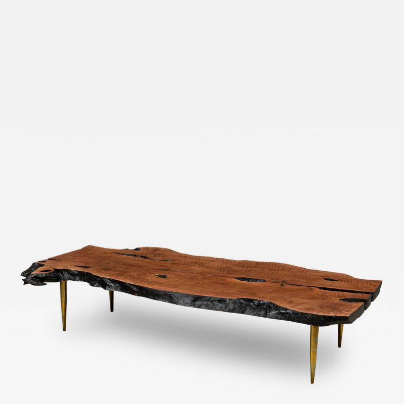 Madeira Contemporary Modern Rectangular Live Edge Petrified Wood and Polishe