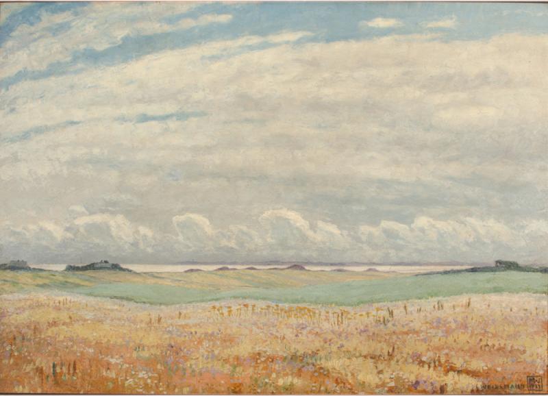 Magnus Weidemann Magnus Weidemann GERMAN 1880 1967 Blush Fields painting