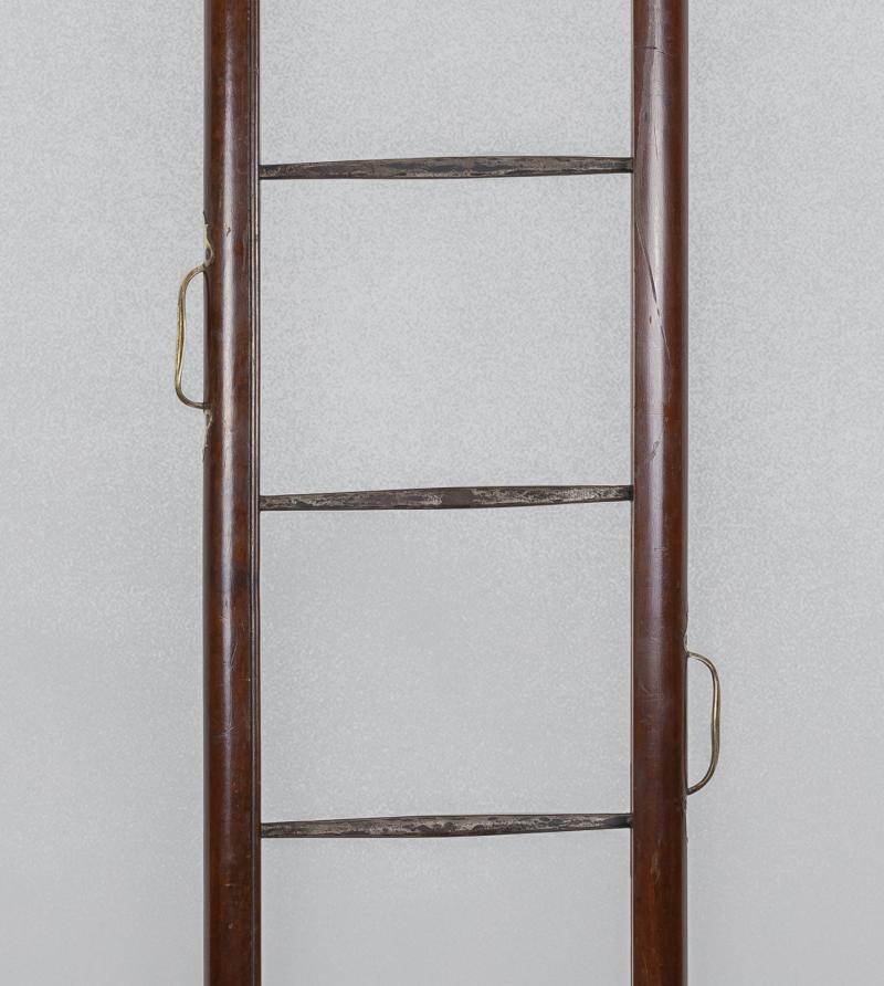 Mahogany Library Pole Ladder with Steel Rungs