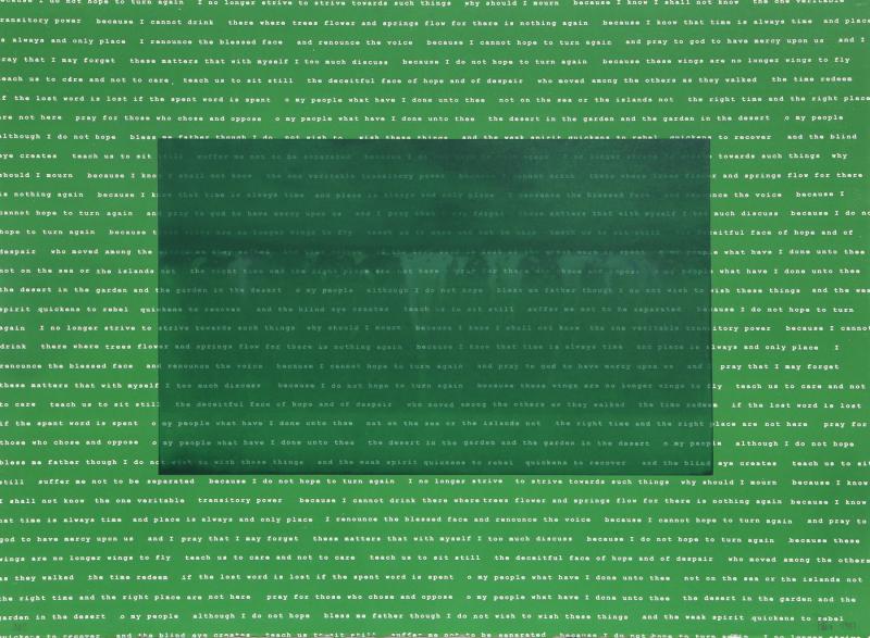 Manuel Pi a Baldoqu n Aguas Baldias Green 