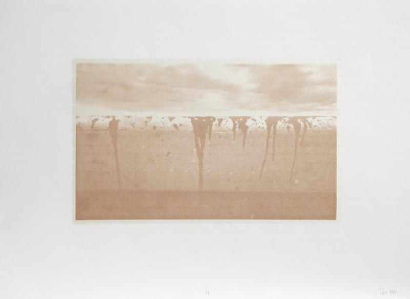 Manuel Pi a Baldoqu n Aguas Baldias White 