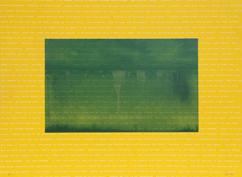 Manuel Pi a Baldoqu n Aguas Baldias Yellow 