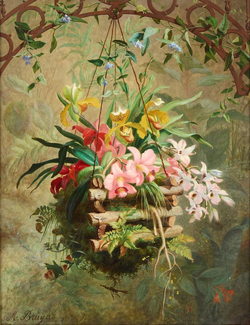 Marc Laurent Bruyas Large 19th century floral still life of a hanging orchid basket by Bruyas